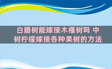 白腊树能嫁接木槿树吗 中树柠檬嫁接各种果树的方法